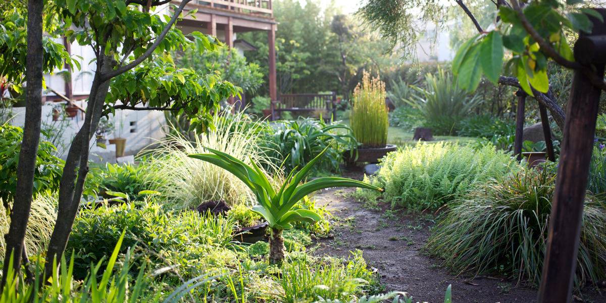 studiojyoti_garden2